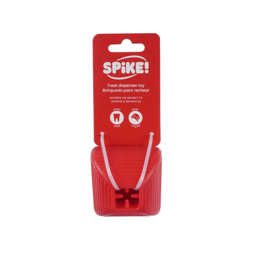 Spike Treat Square Dog Toy