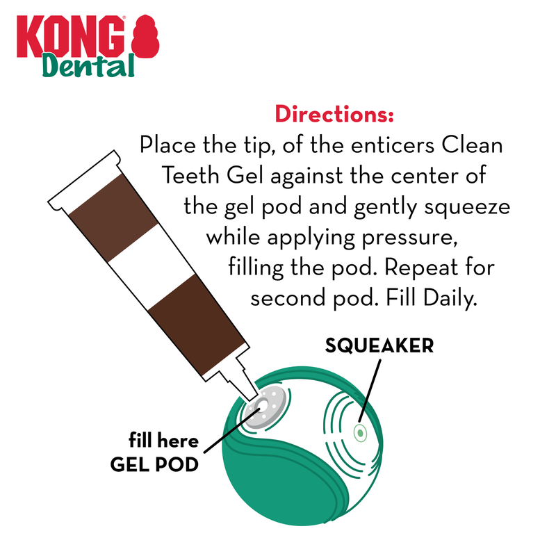 KONG Dental Ball with Solution