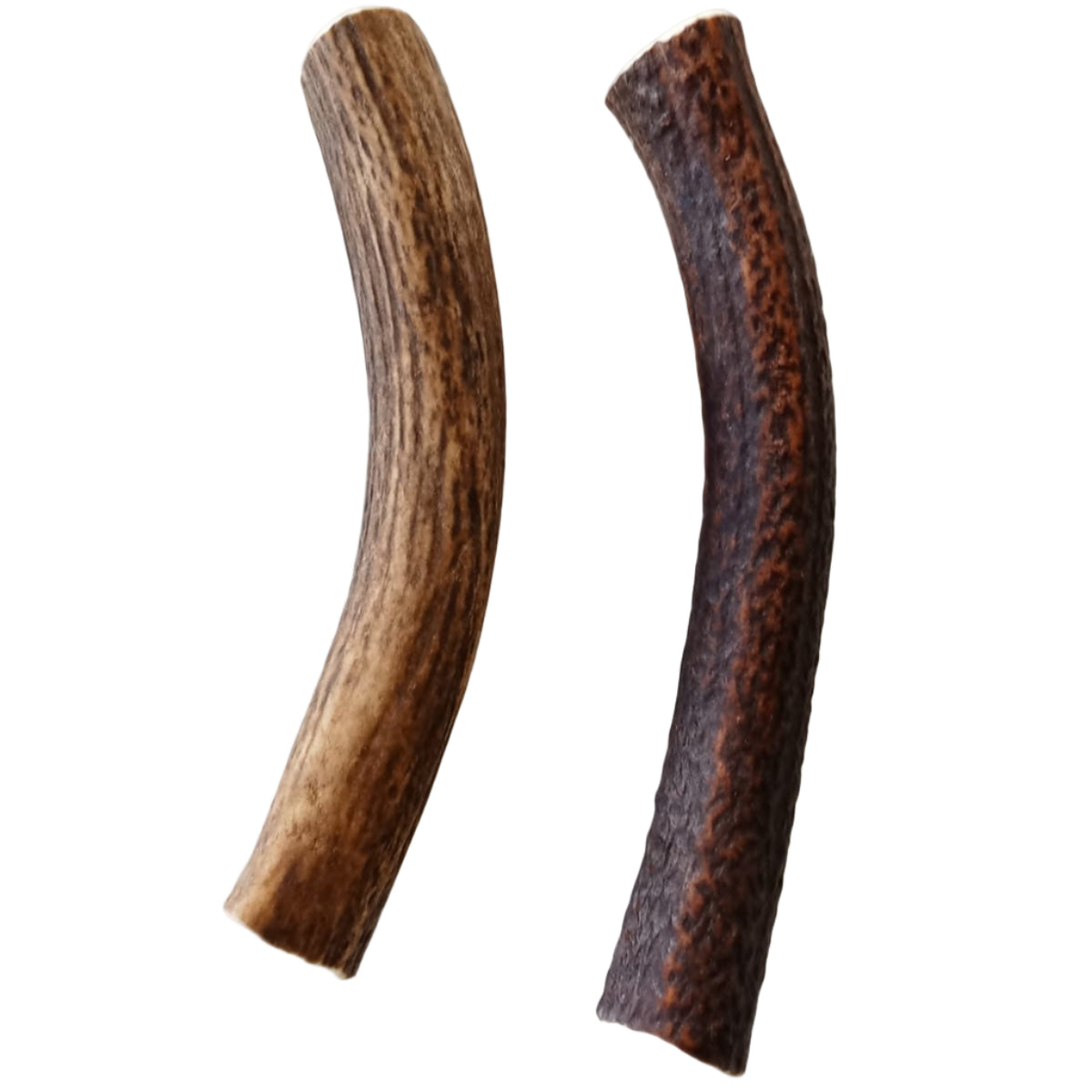 Deer Antler - Loose