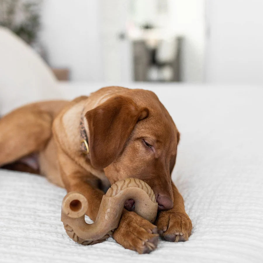 Benebone Tripe Beef Bone - Small