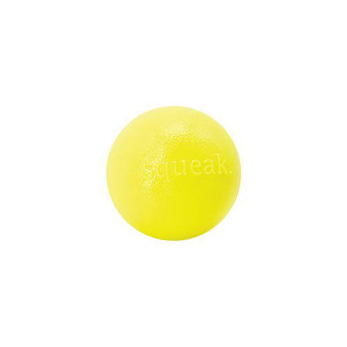 Squeak Ball