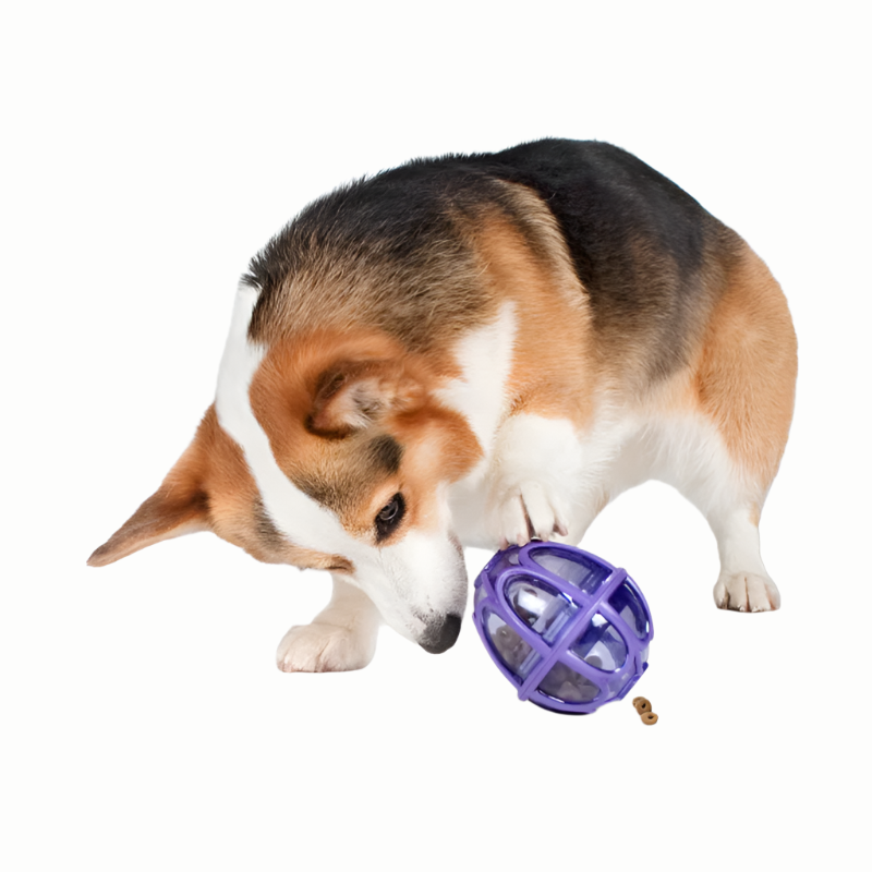 Busy Buddy Kibble Nibble Slow Feeder Egg