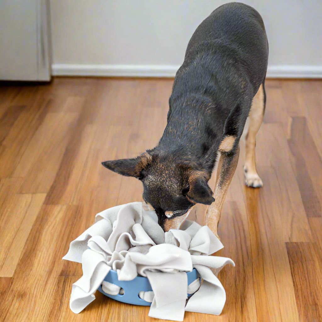 Dog Activity Hide -n- Sniff Bowl -Level 1