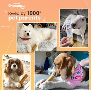 Cheweasy Himalayan Chews