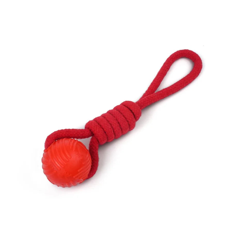 Spike Rope w/ Ball Dog Toy
