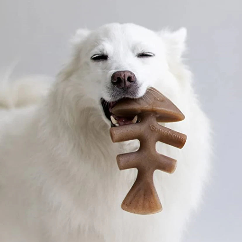 BENEBONE FISHBONE CHEW TOY