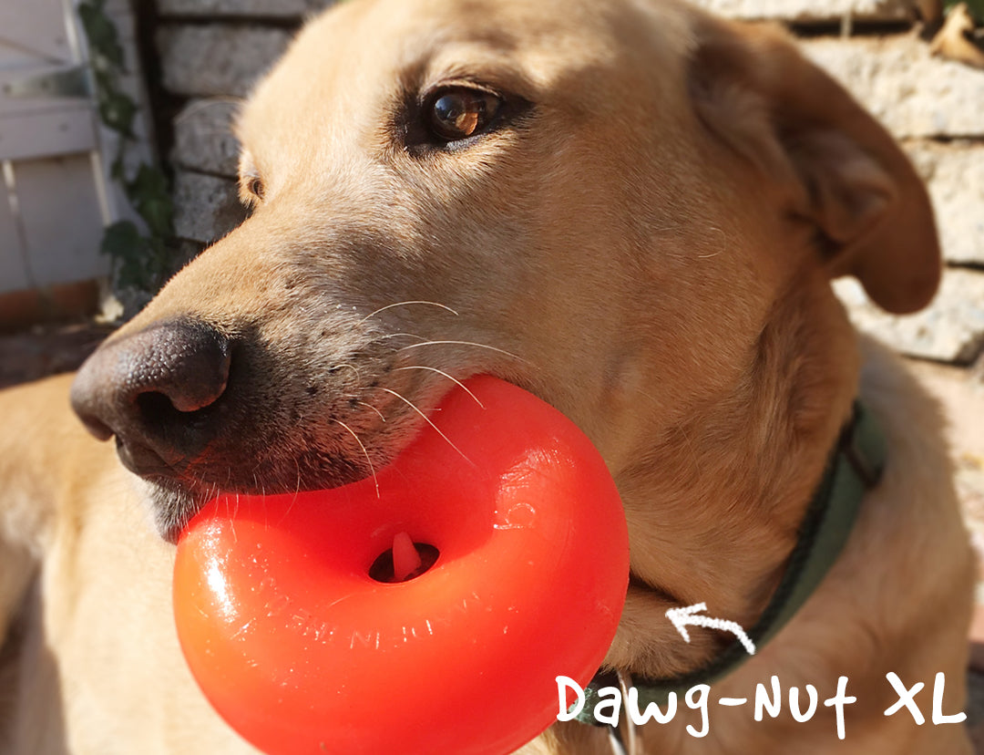 Ruff Dawg Dawg Nut