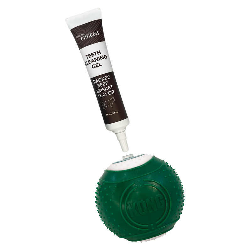 KONG Dental Ball with Solution