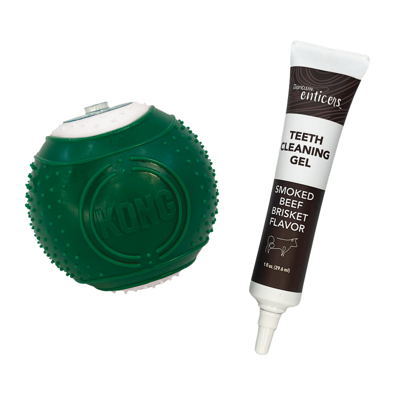 KONG Dental Ball with Solution