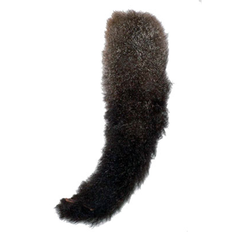 Possum Tail