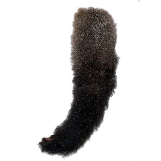 Possum Tail