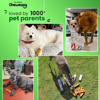 Cheweasy Himalayan Chews