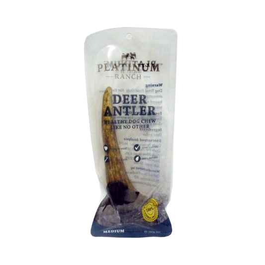 Medium Deer Antler