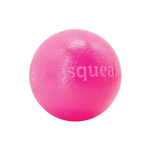 Squeak Ball