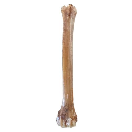 Venison Shank Bone