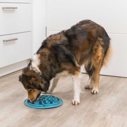 Slow Feeding Mat